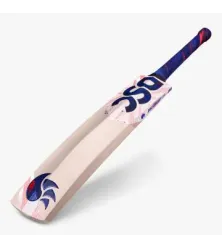 DSC-LeedZ English Willow Bat