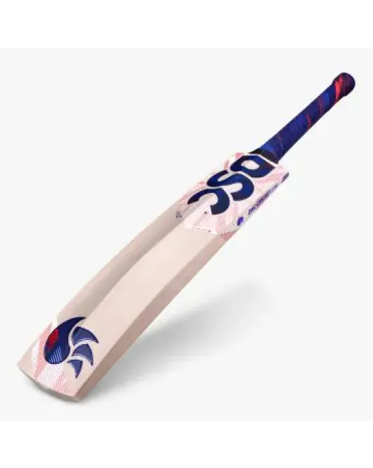 DSC-LeedZ English Willow Bat