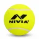 Hard Tennis Balls (0)