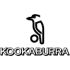 Kookaburra