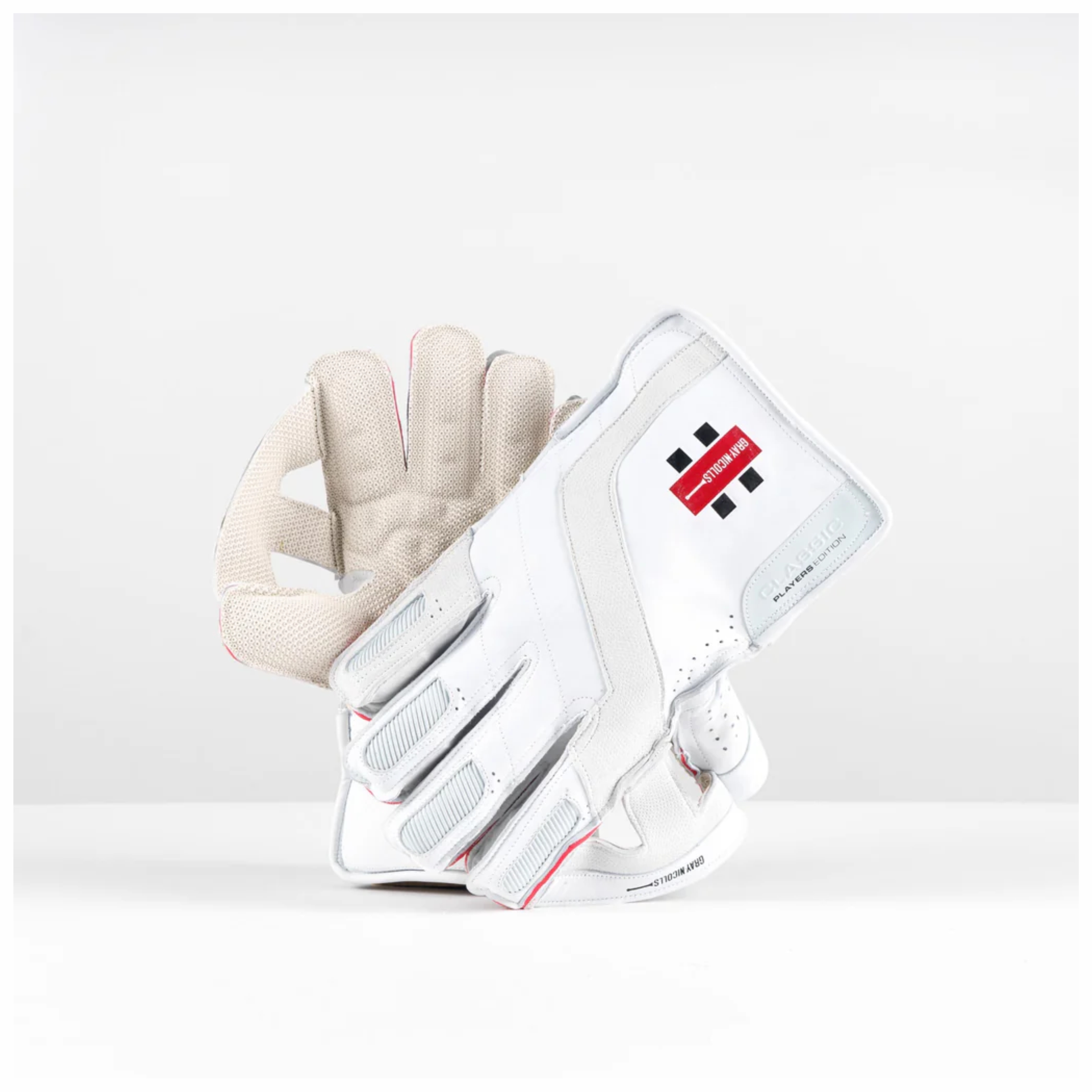 gn players edition wicket keeping gloves